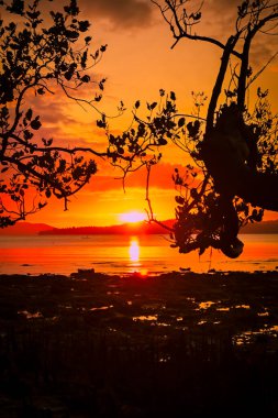 Sahilde güzel gün batımı