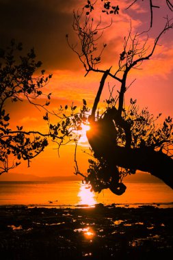 Sahilde güzel gün batımı