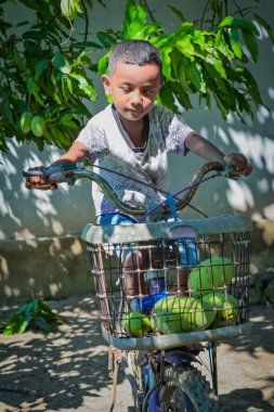 Bir evin bahçesinde bisiklet süren küçük bir çocuk.