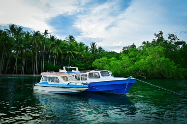 Sürat teknesi limana yanaştı.