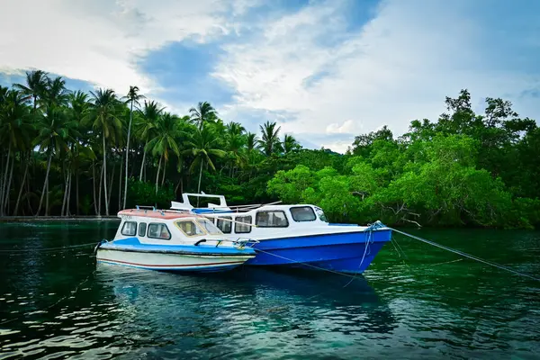 Sürat teknesi limana yanaştı.