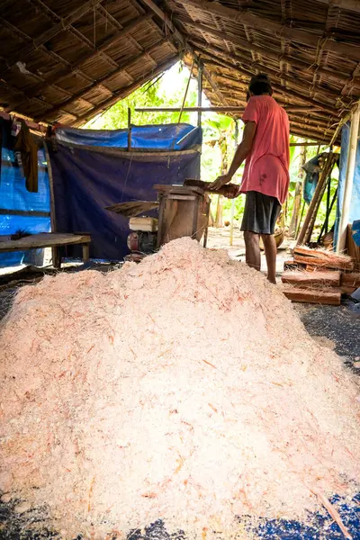 Maluku, Endonezya - 24 Temmuz 2019: Sago una geleneksel işlem süreci