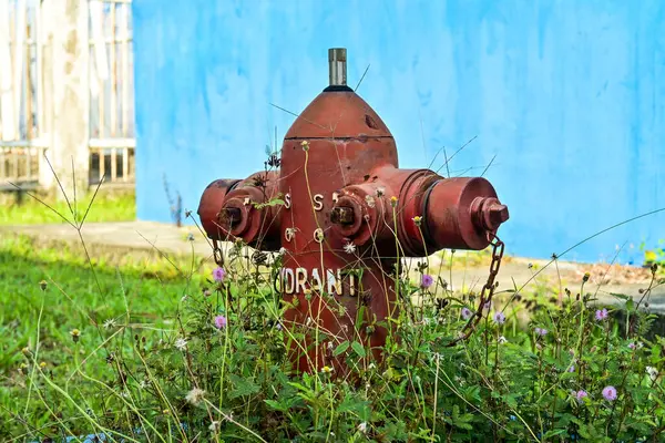 Çimenli bir alanda kırmızı bir yangın musluğu.