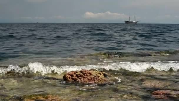 Vågor Kraschar Ett Korallrev Maluku Indonesien — Stockvideo