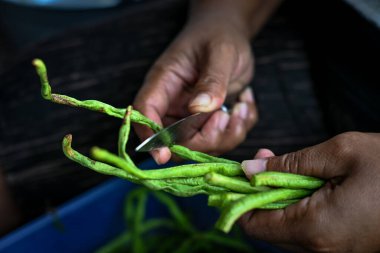 Bir kadının elleri sebze kesiyor.