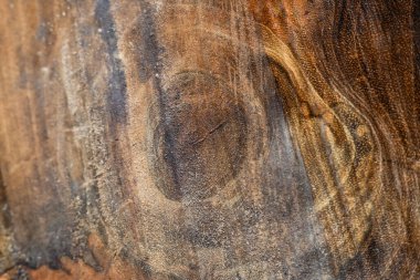 doğal desenler ile ahşap doku arka plan