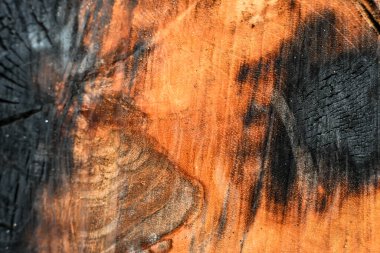 doğal desenler ile ahşap doku arka plan