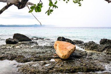 Stil köpük çöpü sahile vurmuş.