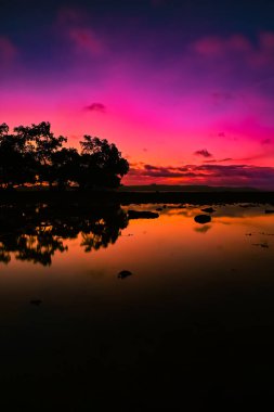 Plaj günbatımı ve ağaç siluetleri