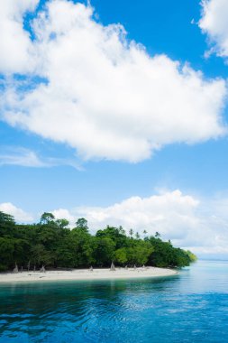 Beyaz plajlar ve Endonezya, Maluku 'da mavi gökyüzü olan tropikal deniz
