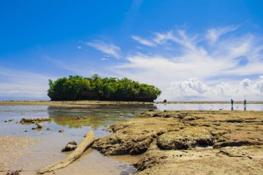 Kıyıdaki küçük ada