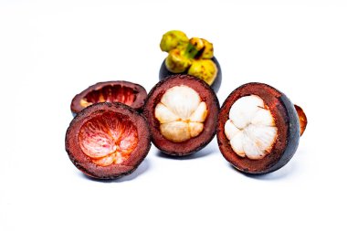 Beyaz arka planda izole edilmiş mangosteen meyvesi. Mangosteen çok yüksek seviyede antioksidan içeren bir meyve olarak bilinir. Sarsinya mangostana