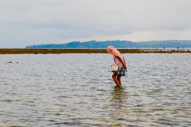 Endonezya, 3 Haziran 2024: İnsanlar deniz suyu azken sahilde küçük balıklar arıyorlar