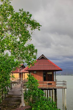 Endonezya, Ambon 'da bir mangrov ormanının kıyısında yüzen konaklama