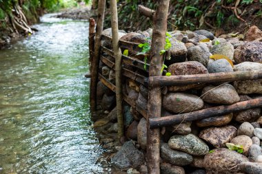 Ormanda akan küçük bir nehir.