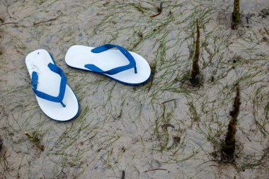 sahilde kum floplar flip çifti