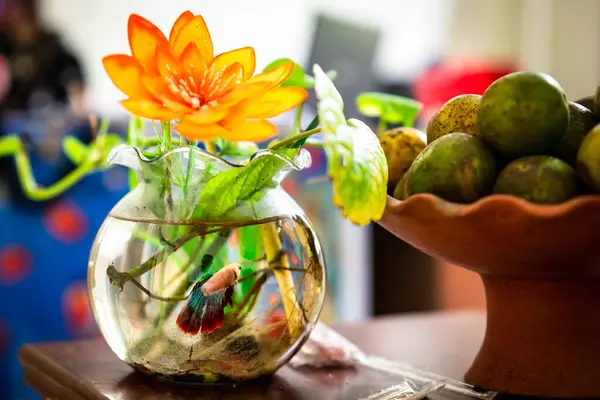 stock image Betta fish in a jar aquarium decorated with fresh flowers