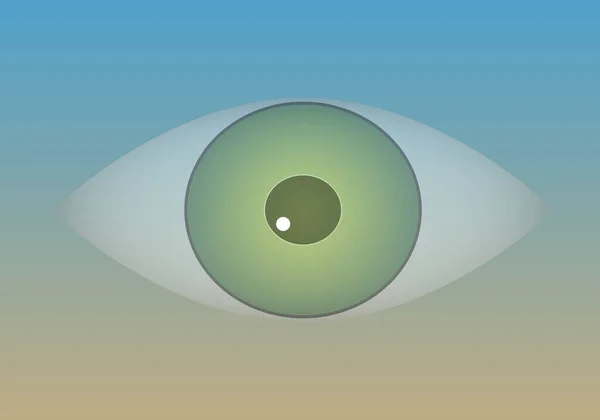Œil Regard Observation Attentifs Espion — Image vectorielle