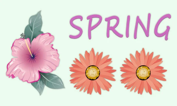 春天的海报 上面有鲜花和雏菊 — 图库照片