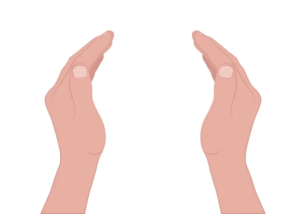 Deux Mains Dans Geste Maintien Rentrée — Image vectorielle