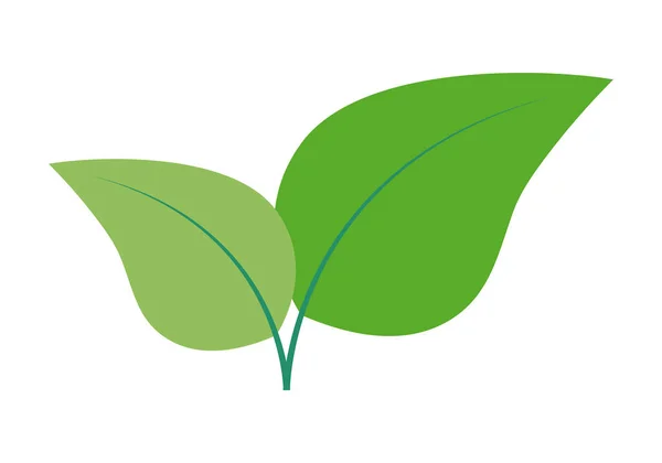 Beyaz Arkaplanda Iki Yeşil Yaprak Simgesi — Stok Vektör