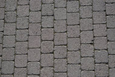 Bir kaldırımın kaldırım taşı döşemesi.