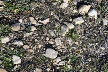 Taşlı kirli yol arkaplanı.