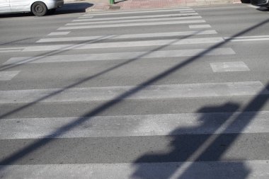 Zebra trafik ışığı gölgesi ile arkaplandan geçiyor.