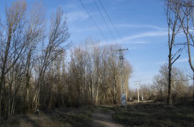 Elektrik hatları olan yolların manzarası.