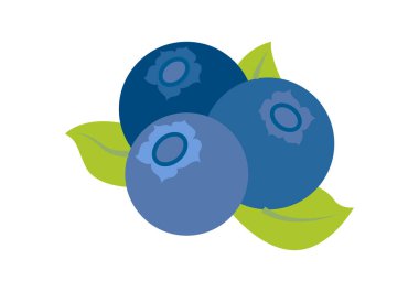 Beyaz arka planda yeşil yapraklı üç yabanmersini..