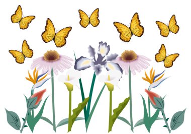 Bahar çiçekleri ve kelebekler uçuşuyor.