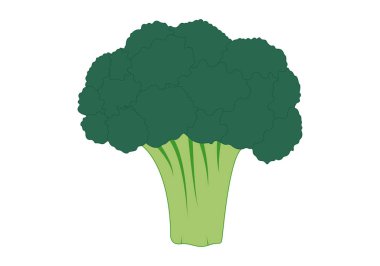 Beyaz arka planda yeşil ve sağlıklı brokoli.