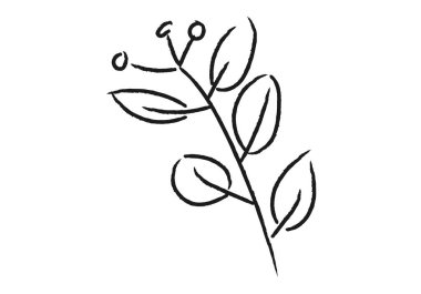 Bitki dalı fırça darbesi siyah simge.