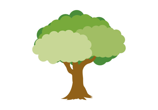 Tree in spring with thick trunk on white background.