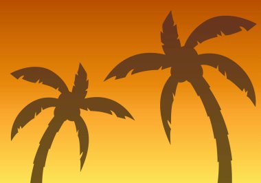 Yazın gün batımında ya da gündoğumunda palmiye ağaçlarının silueti.