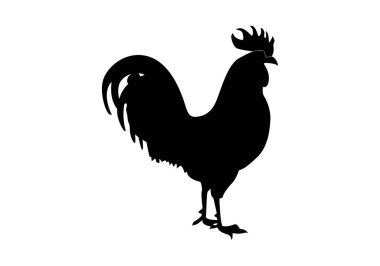 Beyaz arka planda siyah bir horoz ya da tavuk silueti.
