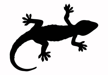 Beyaz arkaplanda kara kertenkele silueti.