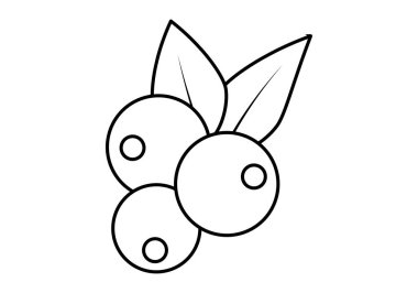 Beyaz arka planda yabani meyve ve meyveler.