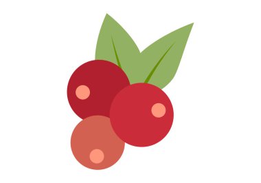 Beyaz arka planda yabani meyve ve meyveler.