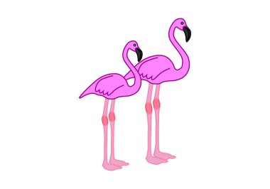 Beyaz arkaplanda iki pembe flamingo.