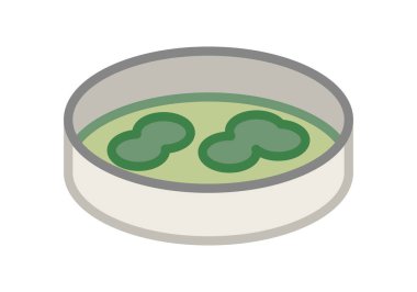 Bakterilerle yapılan yeşil laboratuvar testleri