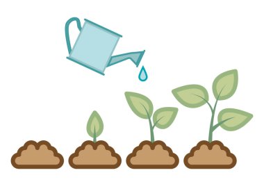 Mavi sulama kutusu olan bir bitkinin büyümesi ve gelişimi