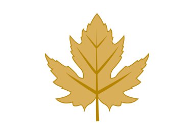 Beyaz arkaplanda sarı kuru ağaç yaprakları