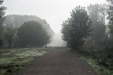 Karanlık bir manzaranın sisli ormanları ve siyah figürlerin yolu.