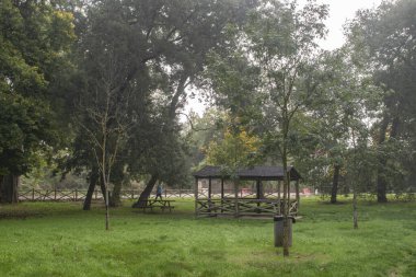 Orman, sonbaharda sisli bir günde Burgos, İspanya 'da piknik masasıyla