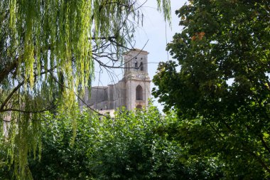 Ağaçlar ve çimlerle kaplı sonbahar manzarası ve ağaçlar arasında görülen Pampliega, Burgos (İspanya) Kilisesi manzarası