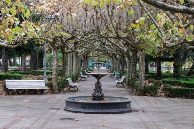 İspanya, Leon 'da bir parkta çeşmeli sonbahar ağaçlarının arasında yürü