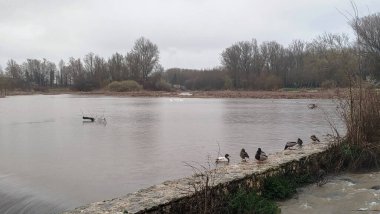 Burgos, İspanya 'da yağmurlu bir günde sağanak yağış nedeniyle nehir taşar