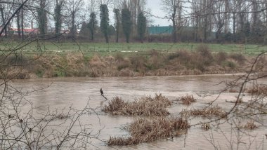 Burgos, İspanya 'da yağmurlu bir günde sağanak yağış nedeniyle nehir taşar