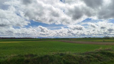 İspanya 'nın Burgos eyaletinde bahar ekini manzarası